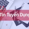 taylorgpo